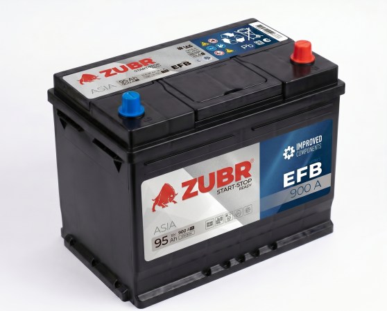 ASIA 95 ZUBR EFB